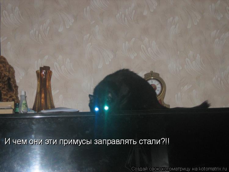 И чем они эти примусы заправлять стали?!!... Котоматрица: И чем они эти примусы заправлять стали?!!