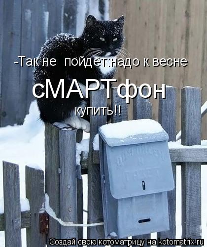 Котоматрица: -Так не  пойдёт:надо к весне  сМАРТфон    купить!!