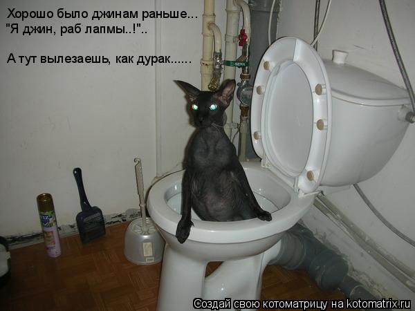 Котоматрица: Хорошо было джинам раньше... "Я джин, раб лапмы..!"..  А тут вылезаешь, как дурак......