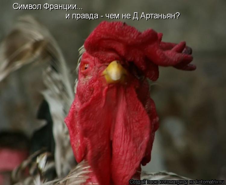 Символ Франции... и правда - чем не Д Артаньян?... Котоматрица: Символ Франции... и правда - чем не Д Артаньян?
