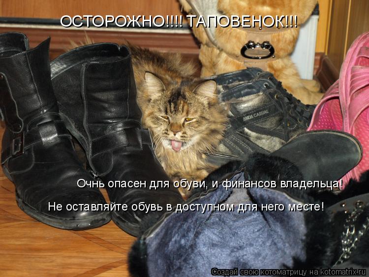 Котоматрица: ОСТОРОЖНО!!!! ТАПОВЕНОК!!! Очнь опасен для обуви, и финансов владельца! Не оставляйте обувь в доступном для него месте! Очнь опасен для обуви, 