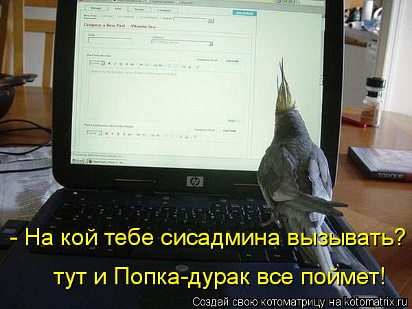 Котоматрица: - На кой тебе сисадмина вызывать?  тут и Попка-дурак все поймет!
