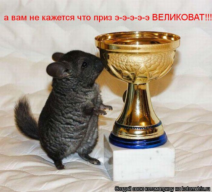 Котоматрица: а вам не кажется что приз э-э-э-э-э ВЕЛИКОВАТ!!!