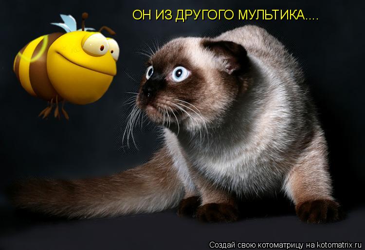 ОН ИЗ ДРУГОГО МУЛЬТИКА....... Котоматрица: ОН ИЗ ДРУГОГО МУЛЬТИКА....