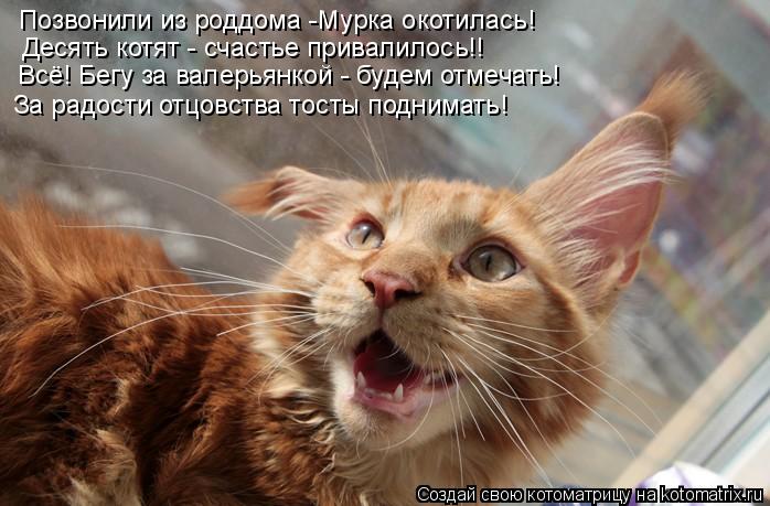 Позвонили из роддома -Мурка окотилась! Десять котят - счастье привалилось!! Всё! Бегу за валерьянкой ... Котоматрица: Позвонили из роддома -Мурка окотилась! Десять котят - счастье привалилось!! Всё! Бегу за валерьянкой - будем отмечать! За радости отцовства т