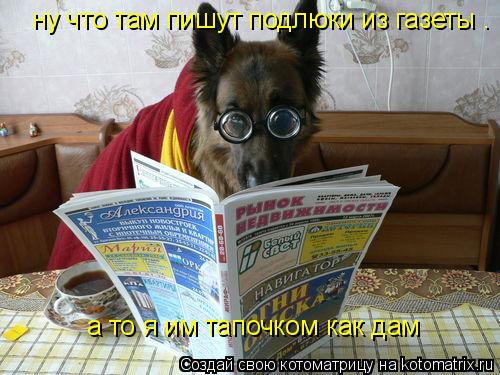 ну что там пишут подлюки из газеты . а то я им тапочком как дам... Котоматрица: ну что там пишут подлюки из газеты . а то я им тапочком как дам