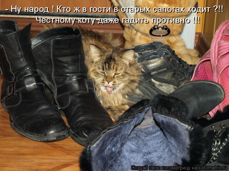 Котоматрица: - Ну народ ! Кто ж в гости в старых сапогах ходит ?!! Честному коту даже гадить противно !!!