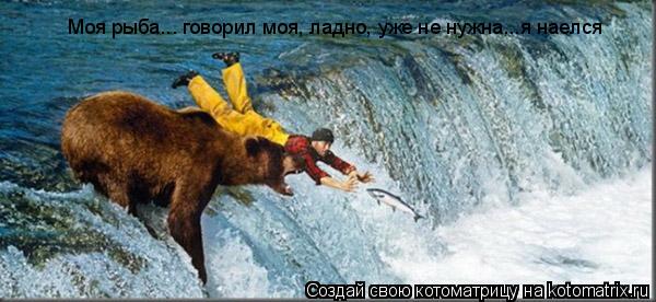 Моя рыба... говорил моя, ладно, уже не нужна...я наелся... Котоматрица: Моя рыба... говорил моя, ладно, уже не нужна...я наелся