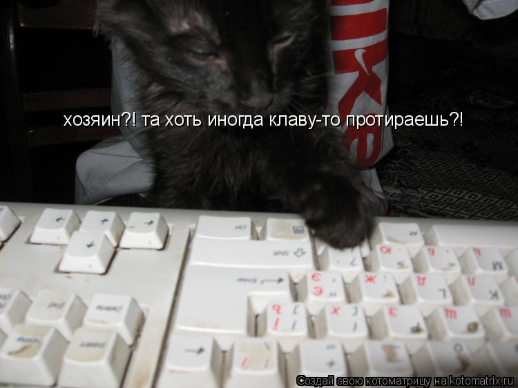 хозяин?! та хоть иногда клаву-то протираешь?!... Котоматрица: хозяин?! та хоть иногда клаву-то протираешь?!