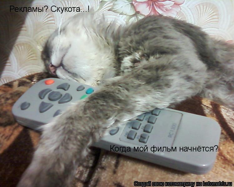 Рекламы? Скукота...! Когда мой фильм начнётся? Когда мой фильм начнётся?... Котоматрица: Рекламы? Скукота...! Когда мой фильм начнётся? Когда мой фильм начнётся?
