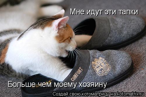 Мне идут эти тапки Больше чем моему хозяину... Котоматрица: Мне идут эти тапки Больше чем моему хозяину