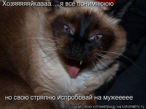 Хозяяяяяйкаааа.....я всё понимяююю но свою стряпню испробовай на мужеееее... Котоматрица: Хозяяяяяйкаааа.....я всё понимяююю но свою стряпню испробовай на мужеееее