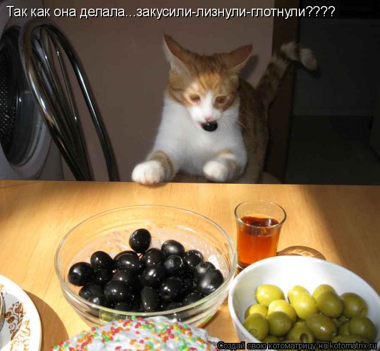 Так как она делала...закусили-лизнули-глотнули????... Котоматрица: Так как она делала...закусили-лизнули-глотнули????
