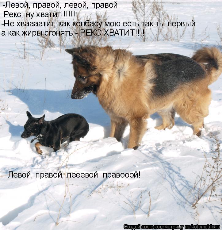 -Левой, правой, левой, правой -Рекс, ну хватит!!!!!! -Не хваааатит, как колбасу мою есть так ты первы... Котоматрица: -Левой, правой, левой, правой -Рекс, ну хватит!!!!!! -Не хваааатит, как колбасу мою есть так ты первый а как жиры сгонять - РЕКС ХВАТИТ!!!! Левой, пр