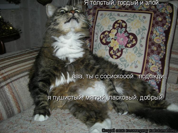 Я толстый, гордый и злой.... ааа, ты с сосискооой...подожди... я пушистый, мягкий, ласковый, добрый... Котоматрица: Я толстый, гордый и злой.... ааа, ты с сосискооой...подожди... я пушистый, мягкий, ласковый, добрый