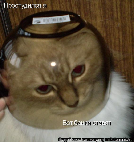 Простудился я Вот,банки ставят... Котоматрица: Простудился я Вот,банки ставят