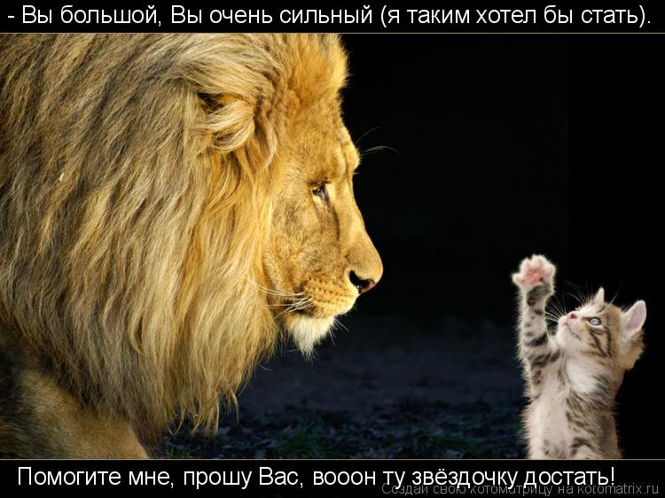 - Вы большой, Вы очень сильный (я таким хотел бы стать). Помогите мне, прошу Вас, вооон ту звёздочку ... Котоматрица: - Вы большой, Вы очень сильный (я таким хотел бы стать). Помогите мне, прошу Вас, вооон ту звёздочку достать!
