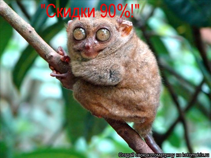 "Скидки 90%!"... Котоматрица: "Скидки 90%!"