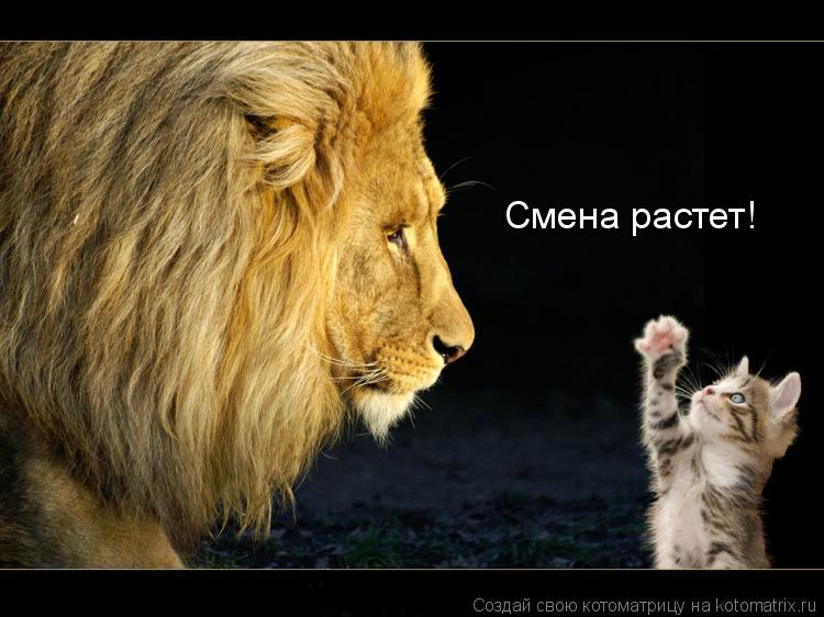 Смена растет!... Котоматрица: Смена растет!