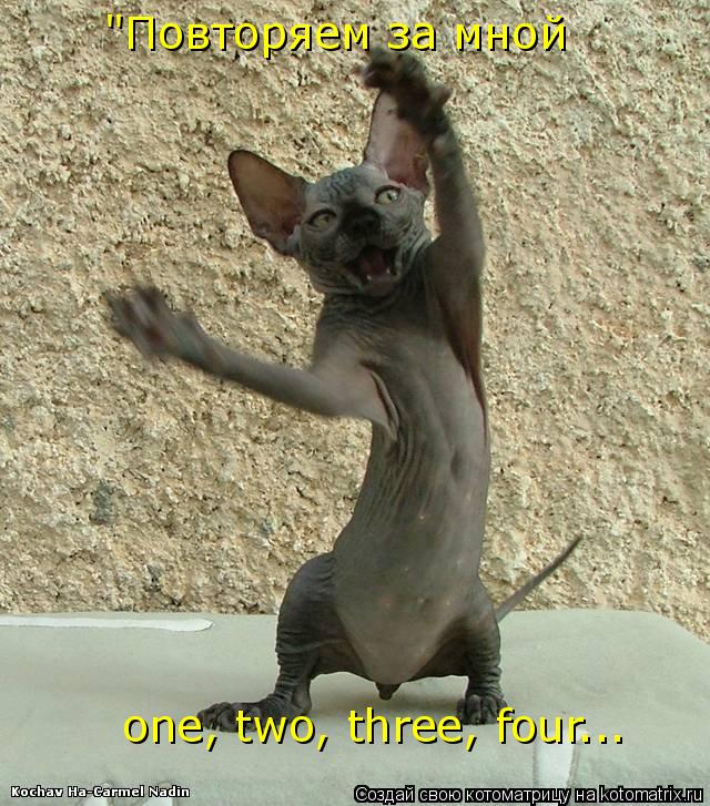 "Повторяем за мной one, two, three, four...... Котоматрица: "Повторяем за мной one, two, three, four...