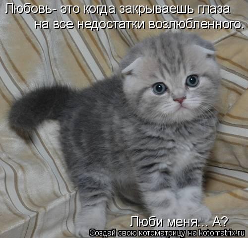Любовь- это когда закрываешь глаза на все недостатки возлюбленного. Люби меня... А?... Котоматрица: Любовь- это когда закрываешь глаза на все недостатки возлюбленного. Люби меня... А?