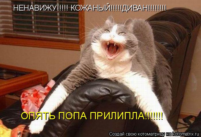 НЕНАВИЖУ!!!!! КОЖАНЫЙ!!!!!ДИВАН!!!!!!!! ОПЯТЬ ПОПА ПРИЛИПЛА!!!!!!!... Котоматрица: НЕНАВИЖУ!!!!! КОЖАНЫЙ!!!!!ДИВАН!!!!!!!! ОПЯТЬ ПОПА ПРИЛИПЛА!!!!!!!