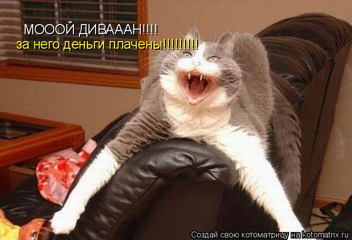 МОООЙ ДИВАААН!!!! за него деньги плачены!!!!!!!!!... Котоматрица: МОООЙ ДИВАААН!!!! за него деньги плачены!!!!!!!!!