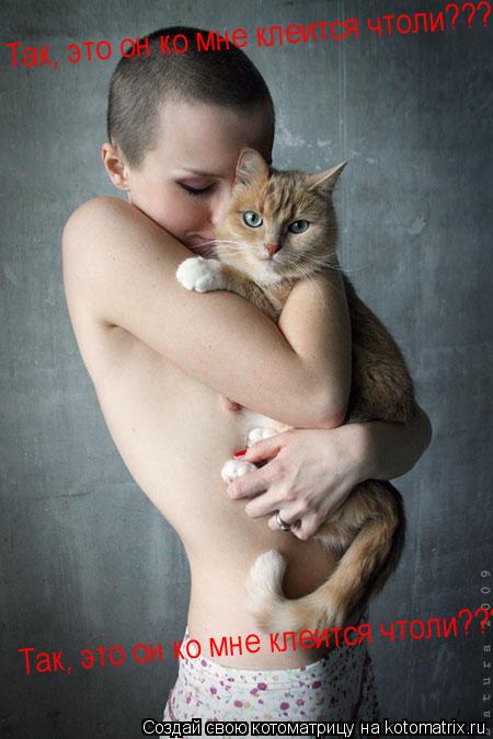 Так, это он ко мне клеится чтоли???? Так, это он ко мне клеится чтоли????... Котоматрица: Так, это он ко мне клеится чтоли???? Так, это он ко мне клеится чтоли????