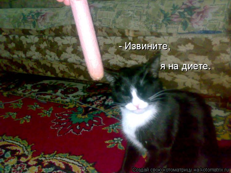 - Извините, я на диете.... Котоматрица: - Извините, я на диете.