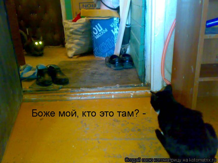 Боже мой, кто это там? -... Котоматрица: Боже мой, кто это там? -