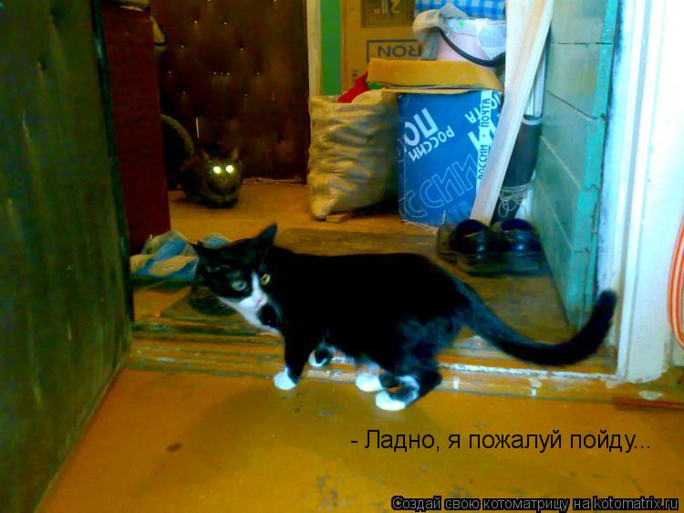 - Ладно, я пожалуй пойду...... Котоматрица: - Ладно, я пожалуй пойду...