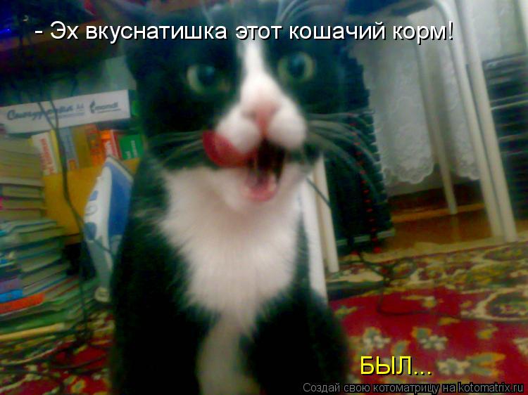 - Эх вкуснатишка этот кошачий корм! БЫЛ...... Котоматрица: - Эх вкуснатишка этот кошачий корм! БЫЛ...