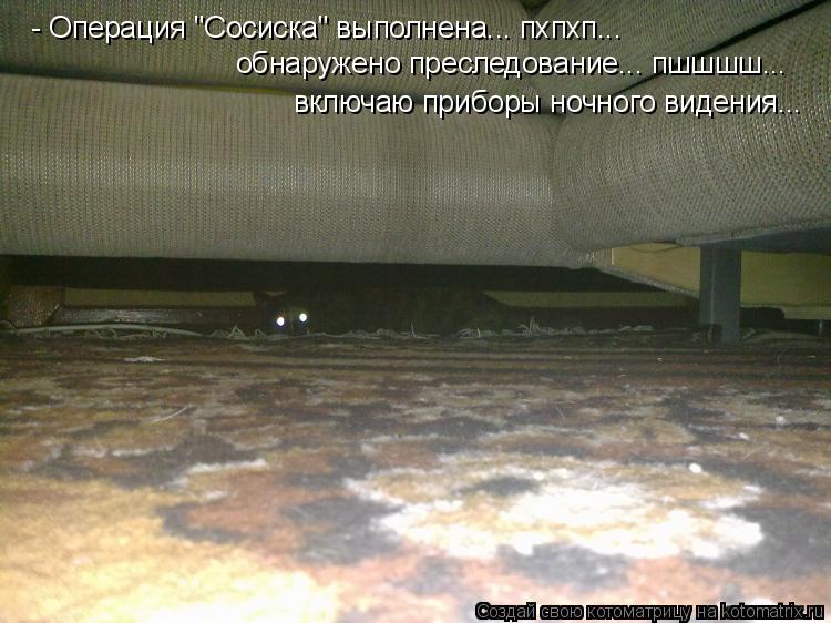 - Операция "Сосиска" выполнена... пхпхп... обнаружено преследование... пшшшш... включаю приборы ночн... Котоматрица: - Операция "Сосиска" выполнена... пхпхп... обнаружено преследование... пшшшш... включаю приборы ночного видения...