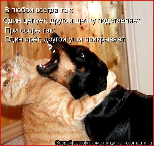 В любви всегда так: Один целует, другой щечку подставляет, При ссоре так: Один орёт, другой уши прикр... Котоматрица: В любви всегда так: Один целует, другой щечку подставляет, При ссоре так: Один орёт, другой уши прикрывает.