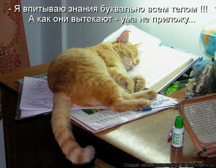 - Я впитываю знания буквально всем телом !!! А как они вытекают - ума не приложу...... Котоматрица: - Я впитываю знания буквально всем телом !!! А как они вытекают - ума не приложу...