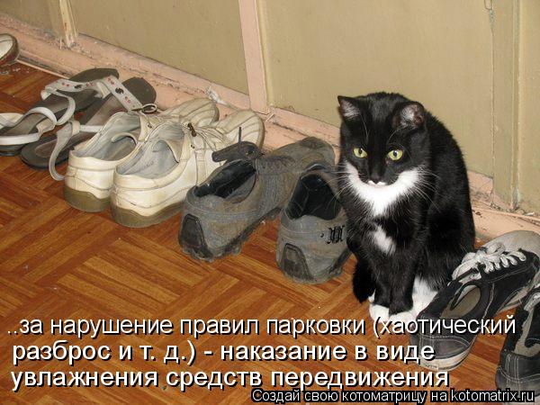 Котоматрица: ..за нарушение правил парковки (хаотический разброс и т. д.) - наказание в виде  увлажнения средств передвижения