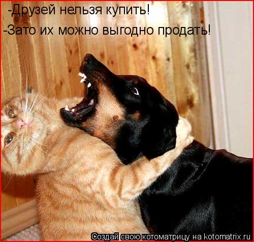 -Друзей нельзя купить! -Зато их можно выгодно продать!... Котоматрица: -Друзей нельзя купить! -Зато их можно выгодно продать!