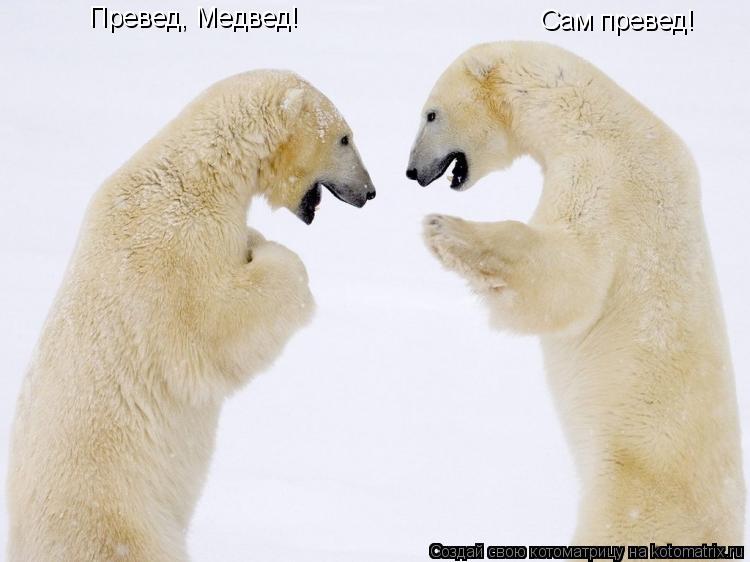 Превед, Медвед! Сам превед!... Котоматрица: Превед, Медвед! Сам превед!