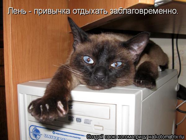 Лень - привычка отдыхать заблаговременно.... Котоматрица: Лень - привычка отдыхать заблаговременно.