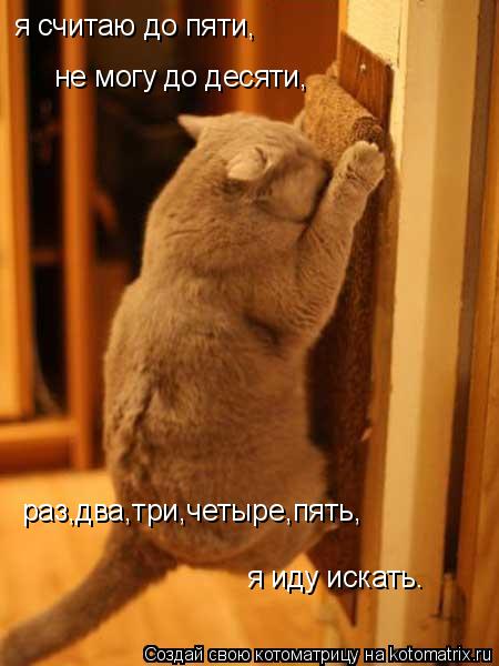 я считаю до пяти, не могу до десяти, раз,два,три,четыре,пять, я иду искать.... Котоматрица: я считаю до пяти, не могу до десяти, раз,два,три,четыре,пять, я иду искать.