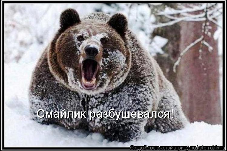 Смайлик разбушевался!... Котоматрица: Смайлик разбушевался!
