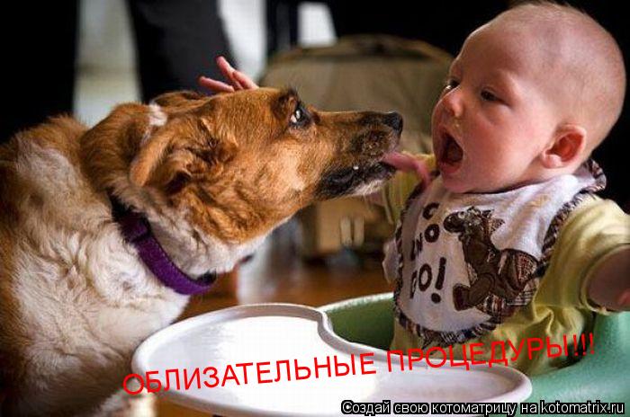 ОБЛИЗАТЕЛЬНЫЕ ПРОЦЕДУРЫ!!!... Котоматрица: ОБЛИЗАТЕЛЬНЫЕ ПРОЦЕДУРЫ!!!