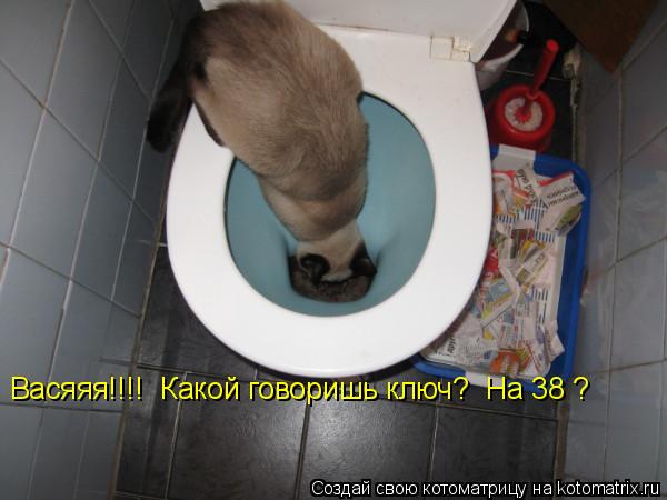Васяяя!!!! Какой говоришь ключ? На 38 ?... Котоматрица: Васяяя!!!! Какой говоришь ключ? На 38 ?