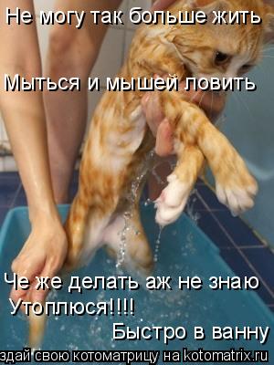 Не могу так больше жить Че же делать аж не знаю Утоплюся!!!! Быстро в ванну Мыться и мышей ловить... Котоматрица: Не могу так больше жить Че же делать аж не знаю Утоплюся!!!! Быстро в ванну Мыться и мышей ловить