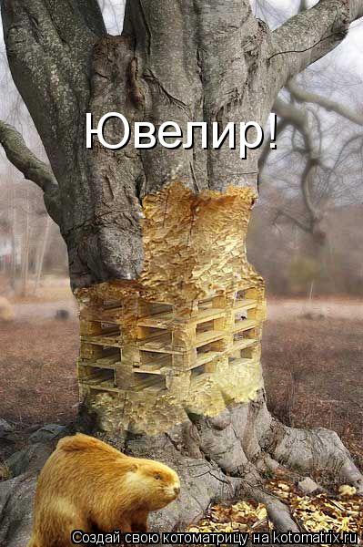 Котоматрица: Ювелир!