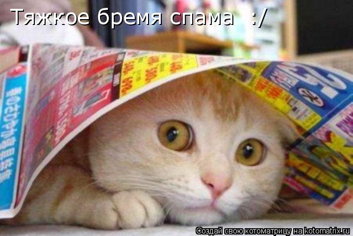Тяжкое бремя спама :/... Котоматрица: Тяжкое бремя спама :/