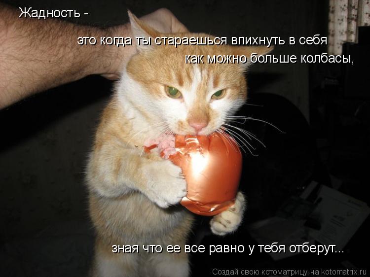 Котоматрица: Жадность -  это когда ты стараешься впихнуть в себя  как можно больше колбасы, зная что ее все равно у тебя отберут...