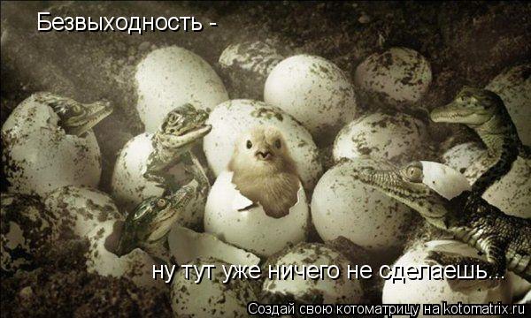 Котоматрица: Безвыходность -  ну тут уже ничего не сделаешь...