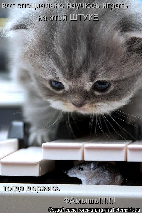 Котоматрица: вот специально научюсь играть  на этой ШТУКЕ тогда держись ФАмышь!!!!!!!