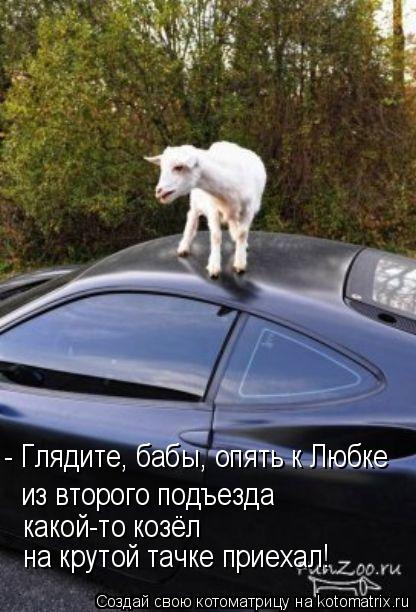 - Глядите, бабы, опять к Любке из второго подъезда какой-то козёл на крутой тачке приехал!... Котоматрица: - Глядите, бабы, опять к Любке из второго подъезда какой-то козёл на крутой тачке приехал!